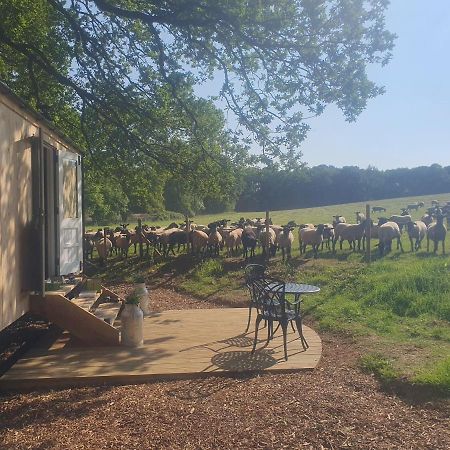 Coachroad Shepherds Huts 펫워스 외부 사진