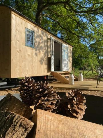 Coachroad Shepherds Huts 펫워스 외부 사진